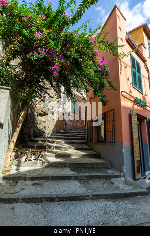 L'un des cinq petit village construit sur la côte du parc national des Cinque Terre - Manarola - ligury - Italie Banque D'Images