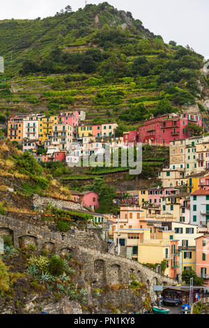 L'un des cinq petit village construit sur la côte du parc national des Cinque Terre - Manarola - ligury - Italie Banque D'Images