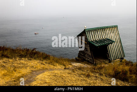 Un chemin mène à un oiseau visites post avec une mouette debout au-dessus d'elle. Banque D'Images