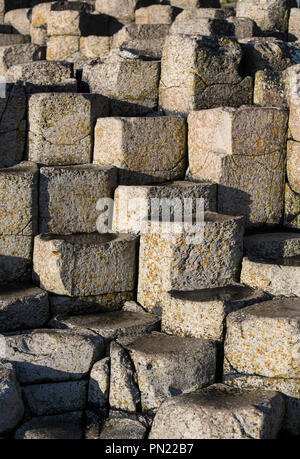 Détail de la colonnes de basalte qui composent le Giant's Causeway dans le comté d'Antrim, en Irlande du Nord Banque D'Images