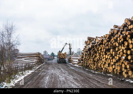 Village Bushmanova, Ivanovo oblast, Russie - 18 novembre 2017 : Chargement de bois sur chariot, le 18 novembre 2017, village Bushmanova, Ivanovo oblast, Russie Banque D'Images