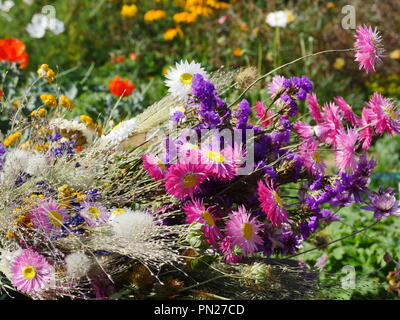 Bouquet de fleurs séchées Banque D'Images