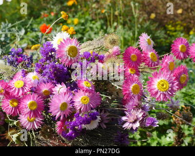 Bouquet de fleurs séchées Banque D'Images