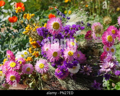 Bouquet de fleurs séchées dans un jardin fleuri Banque D'Images