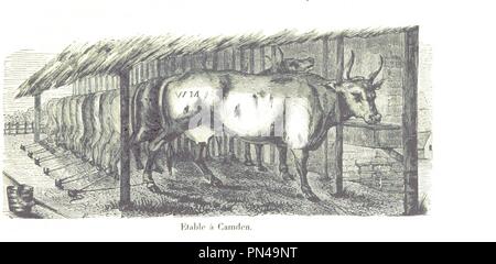 Libre à partir de la page 131 de "Voyages dans les deux océans atlantique et pacifique, de 1844 à 1847. Brésil, États-Units, Cap de Bonne-Espérance, Nouvelle-Hollande, Nouvelle-Zélande, neuf Taiti, Philippes0092. Banque D'Images