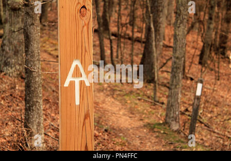 L'Appalachian Trail, comme illustré ici, est facilement accessible depuis plusieurs endroits le long de la magnifique Blue Ridge Parkway en Virginie Banque D'Images