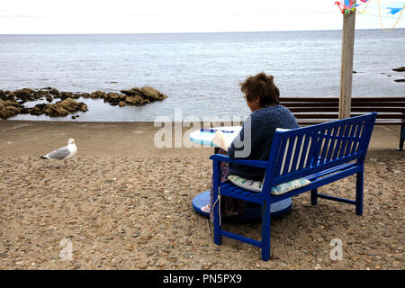 Lire un livre d'une femme au village de Pennan, Fraserburgh, Ecosse, Highlands, Royaume-Uni Banque D'Images