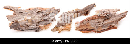 Morceaux de l'écorce de pin isolé sur fond blanc Banque D'Images