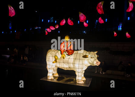 Décoration de lanterne colorée au ruisseau cheonggyecheon pendant le Lotus Lantern Festival à Séoul en Corée Banque D'Images