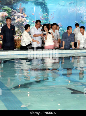 Sommet intercoréen, Sep 19, 2018 : les Coréens du Nord au restaurant de fruits de mer de Taedonggang à Pyongyang, la Corée du Nord. EDITORIAL N'utilisez que du corps de presse Crédit : Pyeongyang/Piscine/AFLO/Alamy Live News Banque D'Images