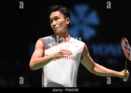 Tokyo, Japon. 15 Sep, 2018. Kento Momota (JPN) : Badminton Yonex Daihatsu Japon Ouvrir 2018 Demi-finaliste du simple masculin Sport Forêt Musashino Plaza à Tokyo, au Japon . Credit : Hitoshi Mochizuki/AFLO/Alamy Live News Banque D'Images