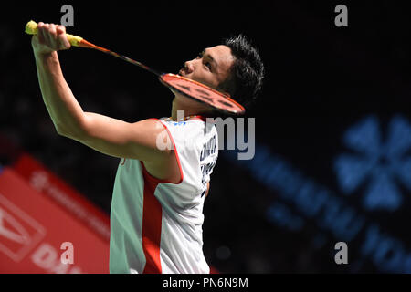Tokyo, Japon. 15 Sep, 2018. Kento Momota (JPN) : Badminton Yonex Daihatsu Japon Ouvrir 2018 Demi-finaliste du simple masculin Sport Forêt Musashino Plaza à Tokyo, au Japon . Credit : Hitoshi Mochizuki/AFLO/Alamy Live News Banque D'Images