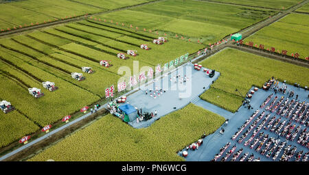 Xuyi. Sep 20, 2018. Photo aérienne prise le 20 septembre 2018 montre la cérémonie d'ouverture d'un festival de la récolte de riz qui s'est tenue dans le comté de Xuyi Xinpu, Village de Huai'an, province du Jiangsu en Chine de l'Est. Les agriculteurs locaux sont encouragés à utiliser les champs de riz pour élever des écrevisses, qui est aussi une denrée populaire dans la cuisine chinoise. Le Comté de Xuyi gouvernement a réussi à augmenter les revenus des agriculteurs par la promotion d'un tel mode de l'agriculture. Crédit : Li Xiang/Xinhua/Alamy Live News Banque D'Images