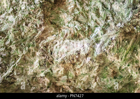 L'actinolite schist spécimen. L'actinolite est un silicate minéral que l'amphibole couramment trouvés dans les roches métamorphiques, tels que les auréoles de contact Banque D'Images