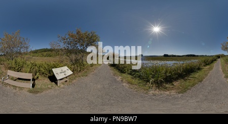 Vue panoramique à 360° de Sentier du Lac d'argent à Seaquest State Park, Washington