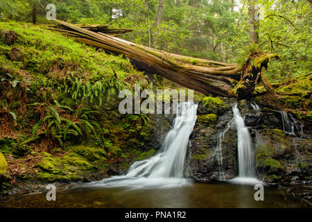 Chutes rustique sur Orcas Island dans les îles San Juan, l'état de Washington Banque D'Images