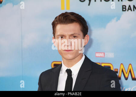 Tom Holland 06/28/2017 La première mondiale de 'spider-Man : Homecoming" tenue à l'Théâtre chinois de Grauman à Los Angeles, CA Photo par Izumi Hasegawa / HNW / PictureLux Banque D'Images