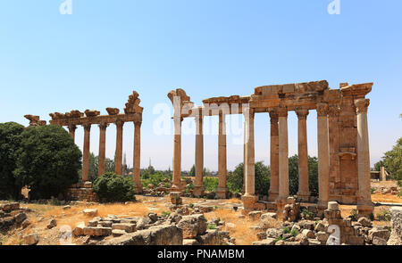 Ruines Romaines de Baalbek, au Liban Banque D'Images