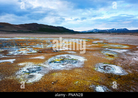 Fumeurs fumerolles sur Hverarond valley Banque D'Images