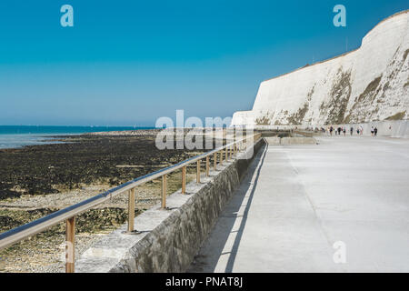 Undercliff à pied de la côte de Saltdean, East Sussex, vue sur la mer à marée basse, selective focus Banque D'Images