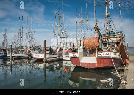 Bateaux de pêche au port de plaisance, Makah Neah Bay, Réserve indienne Makah, Olympic Peninsula, Washington State, USA Banque D'Images