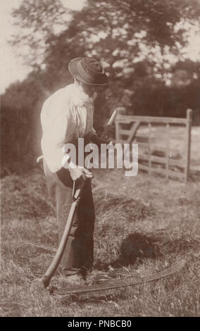 * Vintage Photo de agricole un homme âgé à l'aide d'un faux traditionnel en bois à couper le gazon Banque D'Images