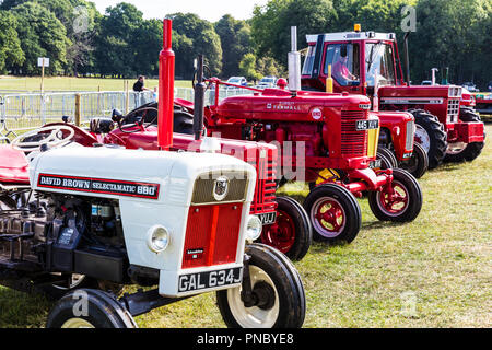 David Brown 880 selectamatic vintage, tracteur, tracteurs vintage, vieux tracteurs, tracteur, tracteurs antiques show, tracteurs Classic, Classic, tracteur, Banque D'Images