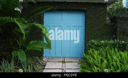 Porte bleue porte à un garage ou jardin vert cadre par de belles plantes tropicales et les feuilles Banque D'Images