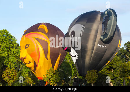 Le nouveau ballon koala Longleat et Longleat Symbaloo lion ballon à Longleat Safari Sky, Wiltshire, Royaume-Uni en septembre Banque D'Images