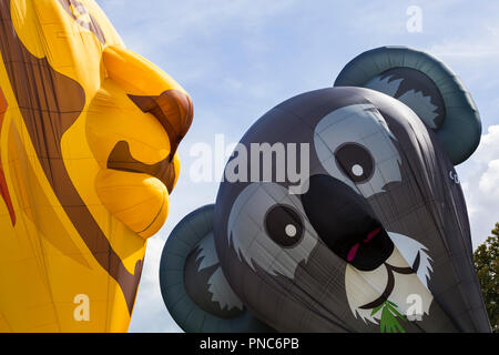 Le nouveau ballon koala Longleat et Longleat Symbaloo lion ballon à Longleat Safari Sky, Wiltshire, Royaume-Uni en septembre Banque D'Images