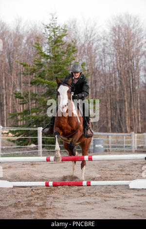 Amérique du Nord, Canada, Ontario, teenage girl on horse jumping hurdle Banque D'Images