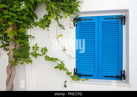 Façade de la maison blanche avec des volets bleus de Naoussa, Paros, Cyclades, Grèce Banque D'Images