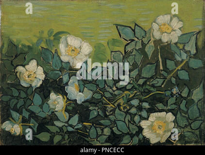 Wild roses. Date/Période : Avril 1890 - mai 1890. La peinture. Huile sur toile. Auteur : Vincent VAN GOGH. VAN GOGH, VINCENT. Banque D'Images