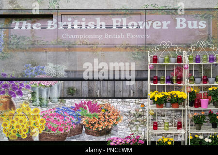 La fleur en autobus à la RHS Wisley Flower Show 2018. RHS Wisley, Surrey, Angleterre Banque D'Images