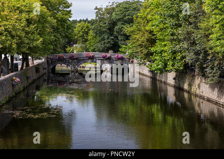 Un pont au-dessus de la Rivière Carrowbeg dans la ville de Westport, Comté de Mayo, Irlande. Banque D'Images