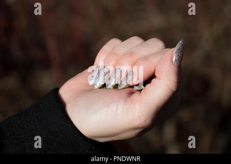 Close up of sparkling manicured nails stiletto sur une main les femelles. Banque D'Images