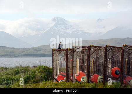 Un pygargue perchée sur un casier à crabes au bord de la mer de Béring à Dutch Harbor, Amaknak, île Unalaska, Alaska, United States. Banque D'Images