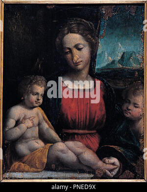 Madone avec l'enfant et de Saint John. Date/Période : première moitié du 16e siècle. Huile sur bois. Le bois. Hauteur : 280 mm (11.02 in) ; Largeur : 230 mm (9,05 in). Auteur : Garofalo's workshop. Banque D'Images