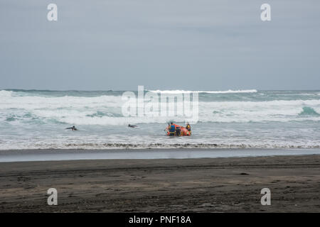 Piha beach, Auckland, Nouvelle-Zélande - le 17 décembre 2016 : Les gens qui bravent la mer de Tasman rugueux de surf à Piha beach à Auckland, en Nouvelle-Zélande. Banque D'Images