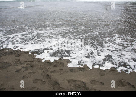 Les eaux de la mer de Tasman qui coule sur le sable noir de Piha beach à Auckland, Nouvelle-Zélande Banque D'Images