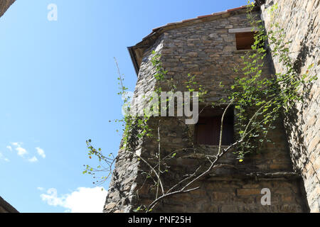 Une vue en perspective d'une façade en pierre avec un livre vert lierre grimpant à côté d'un couple de fenêtres en bois dans la région de Ainsa, un petit village rural en Pyrénées espagnoles Banque D'Images