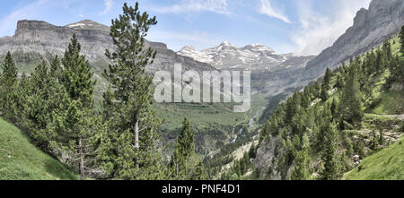 Un paysage du massif du Mont Perdu, avec une forêt de pins et de sapins et un ciel bleu profond avec quelques nuages dans Ordesa, Espagne Banque D'Images