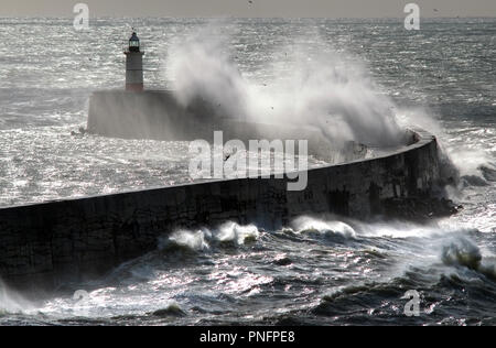 Newhaven, East Sussex, UK. 2er septembre 2018. De forts vents de tempête Bronagh frapper comme un brise-lames Newhaven ferry quitte pour Dieppe, France. © Peter Cripps/Alamy Live News Banque D'Images