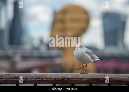 South Bank, Londres, Royaume-Uni. 21 Septembre, 2018. Steuart Padwick sculpture de la tête de l'eau et gratte-ciel forment une toile de fond à une promenade seagull sur une lumineuse journée à Londres. Credit : Malcolm Park/Alamy Live News. Banque D'Images