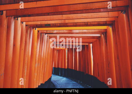 Kyoto, Kyoto, la Chine. Sep 21, 2018. Kyoto, Japan-Fushimi Inari Taisha est le chef de culte du dieu Inari, situé dans le quartier de Fushimi, à Kyoto, au Japon. Le sanctuaire se trouve à la base d'une montagne également nommé Inari qui est 233 mètres (764 ft) au-dessus du niveau de la mer, et comprend des sentiers jusqu'à la montagne pour de nombreux petits sanctuaires qui s'étendent sur 4 kilomètres (2,5 mi) et prendre environ 2 heures de marche. Credit : ZUMA Press, Inc./Alamy Live News Banque D'Images