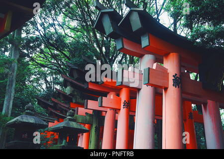 Kyoto, Kyoto, la Chine. Sep 21, 2018. Kyoto, Japan-Fushimi Inari Taisha est le chef de culte du dieu Inari, situé dans le quartier de Fushimi, à Kyoto, au Japon. Le sanctuaire se trouve à la base d'une montagne également nommé Inari qui est 233 mètres (764 ft) au-dessus du niveau de la mer, et comprend des sentiers jusqu'à la montagne pour de nombreux petits sanctuaires qui s'étendent sur 4 kilomètres (2,5 mi) et prendre environ 2 heures de marche. Credit : ZUMA Press, Inc./Alamy Live News Banque D'Images