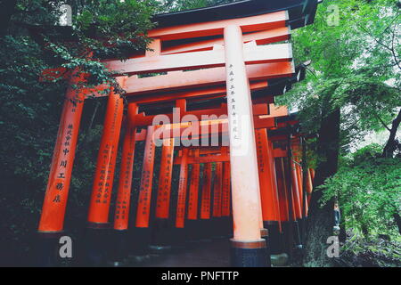 Kyoto, Kyoto, la Chine. Sep 21, 2018. Kyoto, Japan-Fushimi Inari Taisha est le chef de culte du dieu Inari, situé dans le quartier de Fushimi, à Kyoto, au Japon. Le sanctuaire se trouve à la base d'une montagne également nommé Inari qui est 233 mètres (764 ft) au-dessus du niveau de la mer, et comprend des sentiers jusqu'à la montagne pour de nombreux petits sanctuaires qui s'étendent sur 4 kilomètres (2,5 mi) et prendre environ 2 heures de marche. Credit : ZUMA Press, Inc./Alamy Live News Banque D'Images