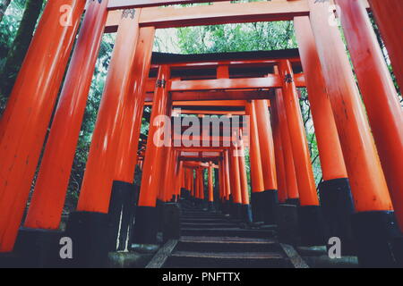 Kyoto, Kyoto, la Chine. Sep 21, 2018. Kyoto, Japan-Fushimi Inari Taisha est le chef de culte du dieu Inari, situé dans le quartier de Fushimi, à Kyoto, au Japon. Le sanctuaire se trouve à la base d'une montagne également nommé Inari qui est 233 mètres (764 ft) au-dessus du niveau de la mer, et comprend des sentiers jusqu'à la montagne pour de nombreux petits sanctuaires qui s'étendent sur 4 kilomètres (2,5 mi) et prendre environ 2 heures de marche. Credit : ZUMA Press, Inc./Alamy Live News Banque D'Images