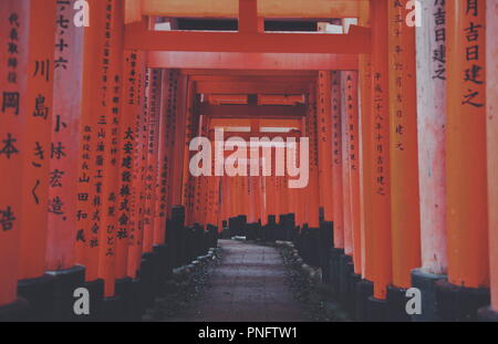 Kyoto, Kyoto, la Chine. Sep 21, 2018. Kyoto, Japan-Fushimi Inari Taisha est le chef de culte du dieu Inari, situé dans le quartier de Fushimi, à Kyoto, au Japon. Le sanctuaire se trouve à la base d'une montagne également nommé Inari qui est 233 mètres (764 ft) au-dessus du niveau de la mer, et comprend des sentiers jusqu'à la montagne pour de nombreux petits sanctuaires qui s'étendent sur 4 kilomètres (2,5 mi) et prendre environ 2 heures de marche. Credit : ZUMA Press, Inc./Alamy Live News Banque D'Images