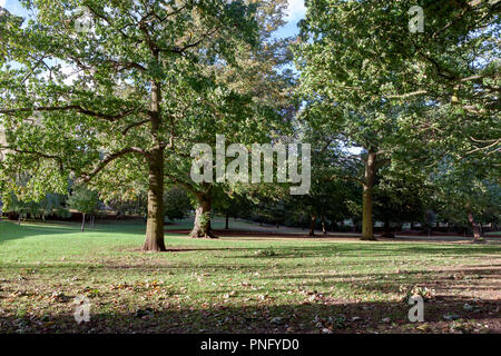 Northampton. Météo au Royaume-Uni. 21 ème Septemper 2018, soleil bas casting shadows amonst les arbres ce soir à Abington Park après un brillant, froid et vent. Credit : Keith J Smith./Alamy Live News Banque D'Images